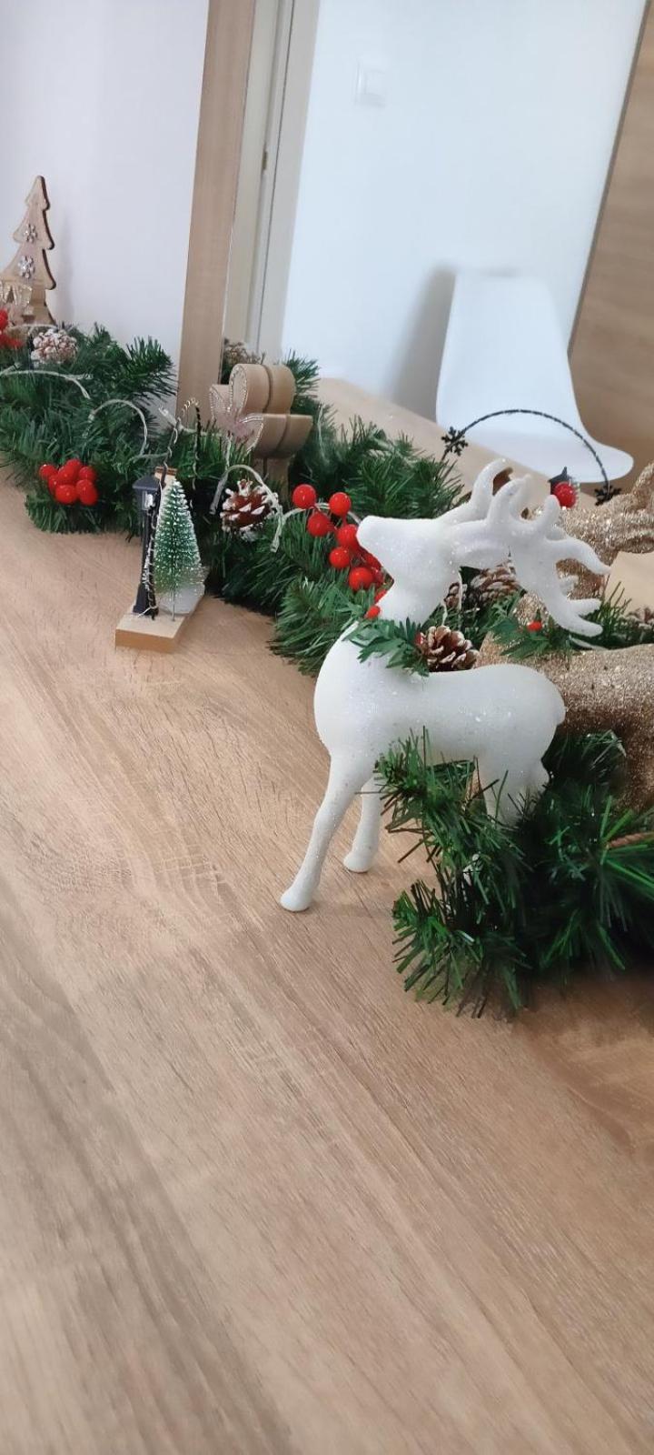 Apartment Seaside Oasis