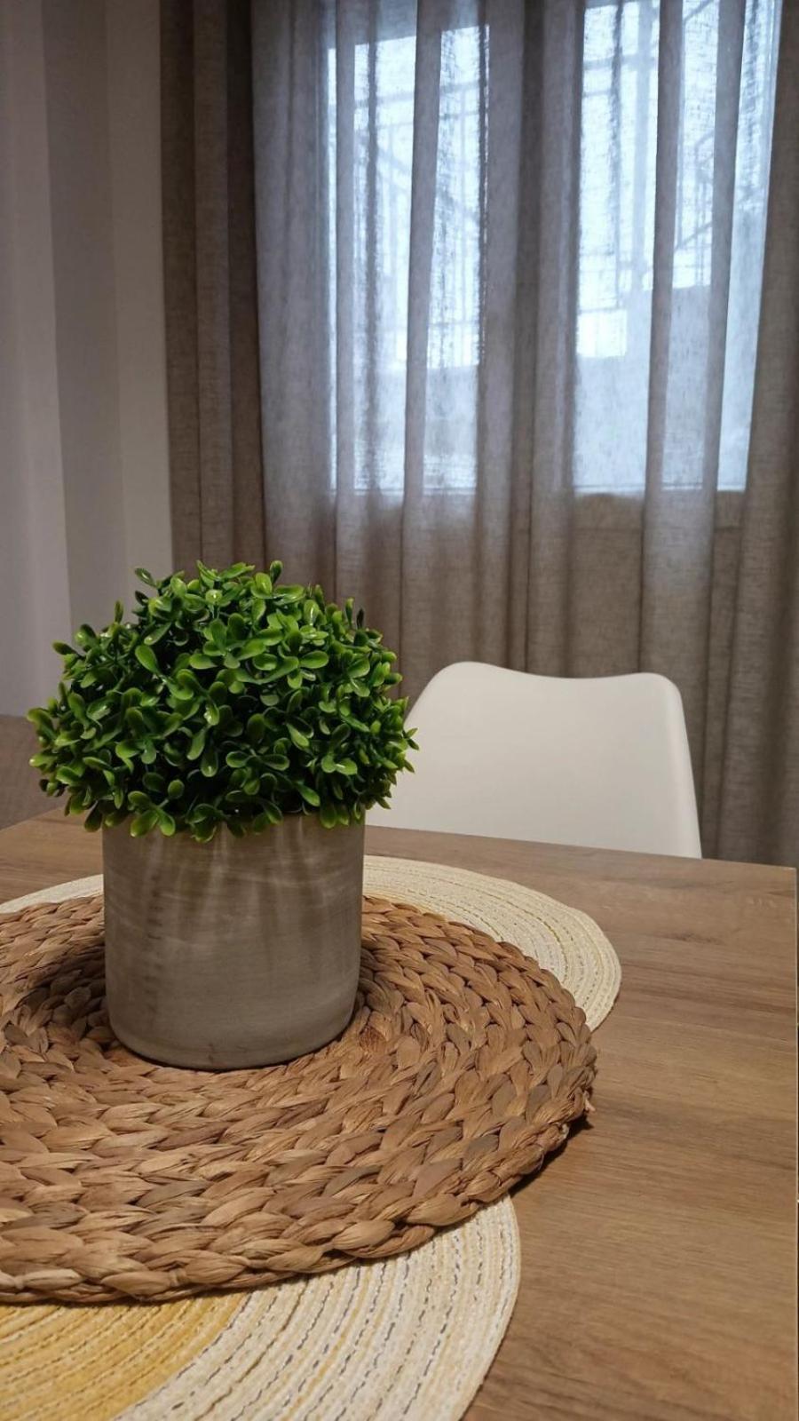Seaside Oasis Apartmán